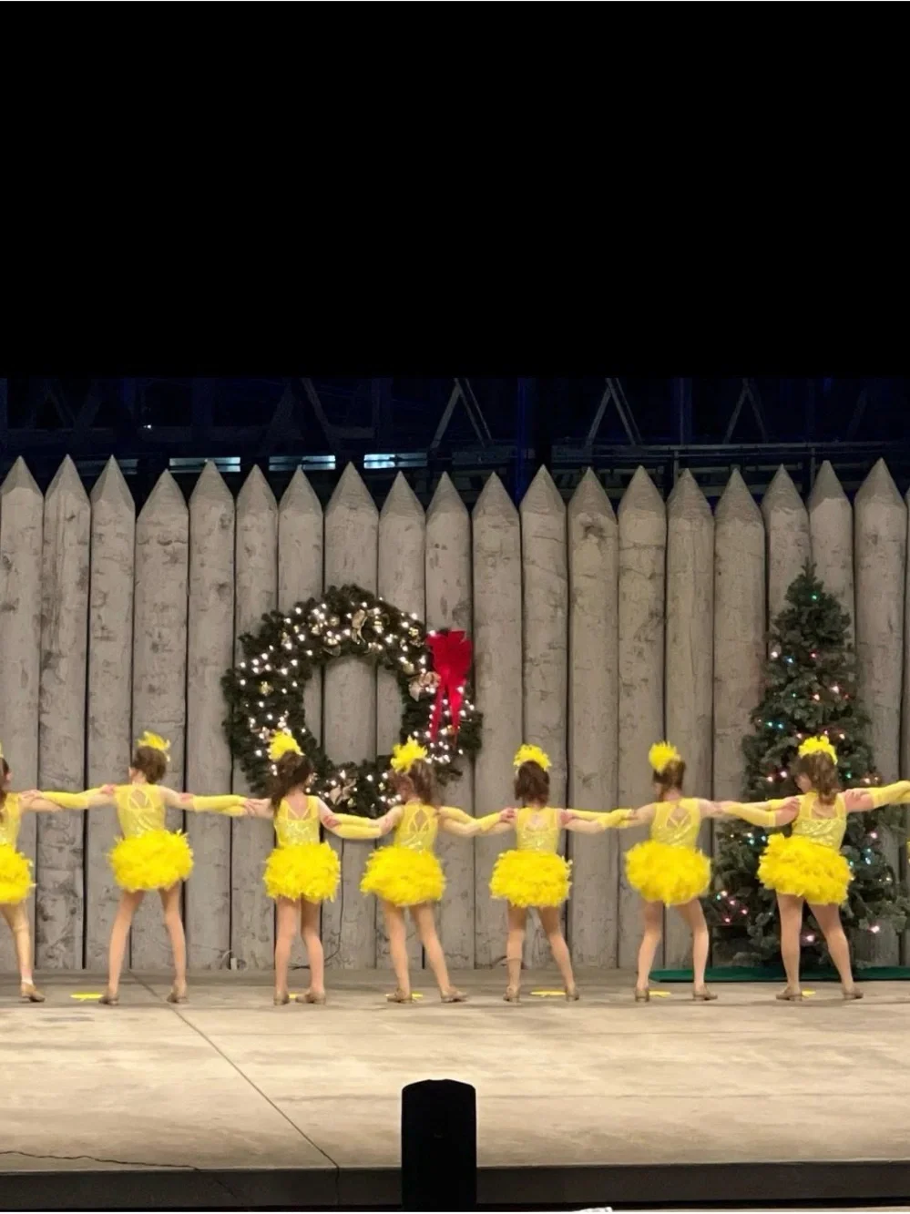 Weissman Yellow Feathered Sequin Dance Costume